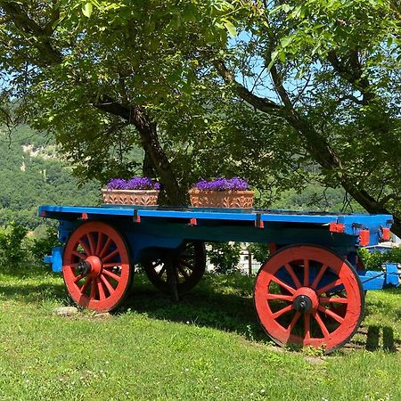 Agriturismo Popolano Di Sotto Marradi Kültér fotó