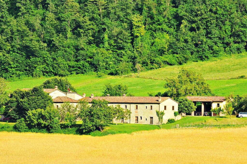 Agriturismo Popolano Di Sotto Marradi Kültér fotó
