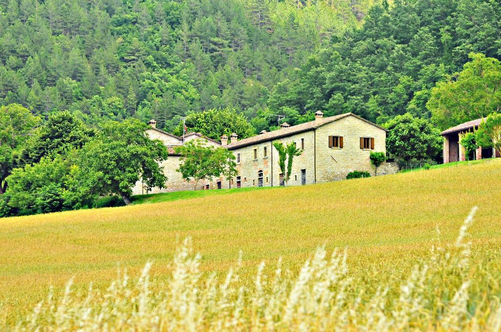 Agriturismo Popolano Di Sotto Marradi Kültér fotó