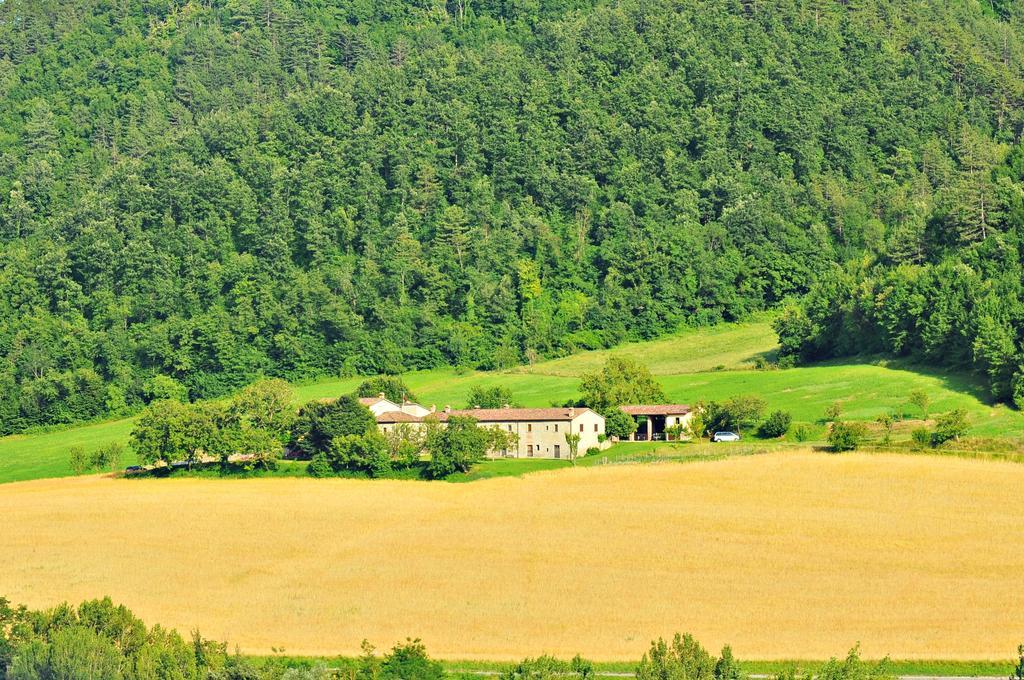 Agriturismo Popolano Di Sotto Marradi Kültér fotó