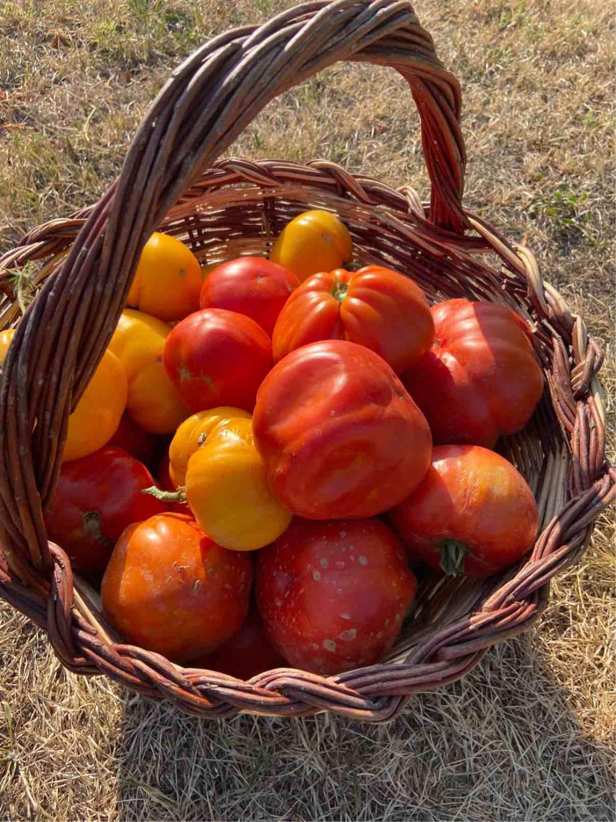 Agriturismo Popolano Di Sotto Marradi Kültér fotó